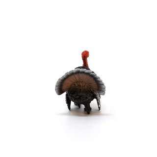 Foto 5 | Figura De Juguete Schleich Farm World Turkey Bird Para Niños A Partir De 3 Años - Venta Internacional.