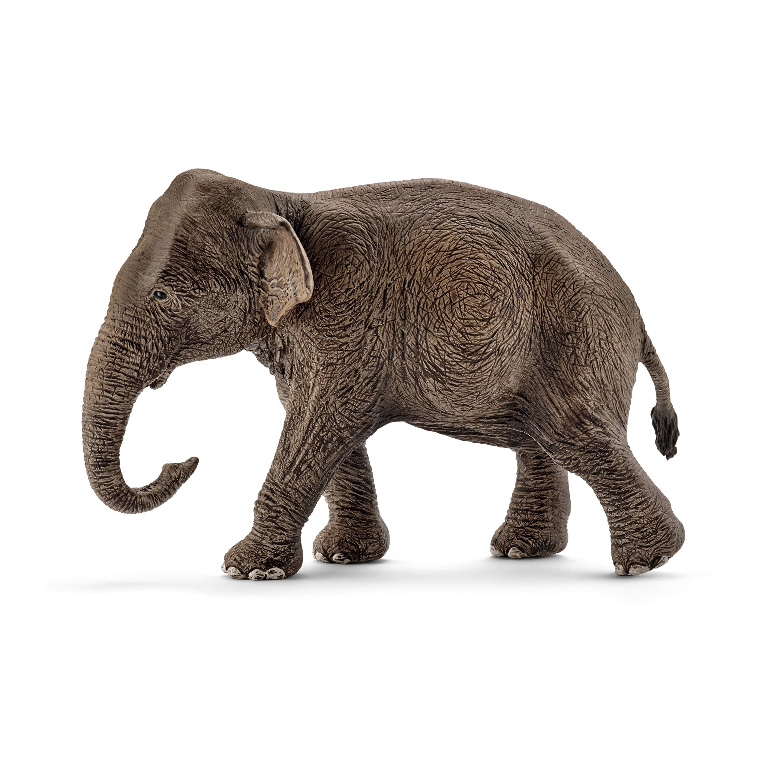 Foto 2 pulgar | Figura De Juguete Schleich Wild Life Con Forma De Elefante Asiático Hembra De Más De 3 Años - Venta Internacional.