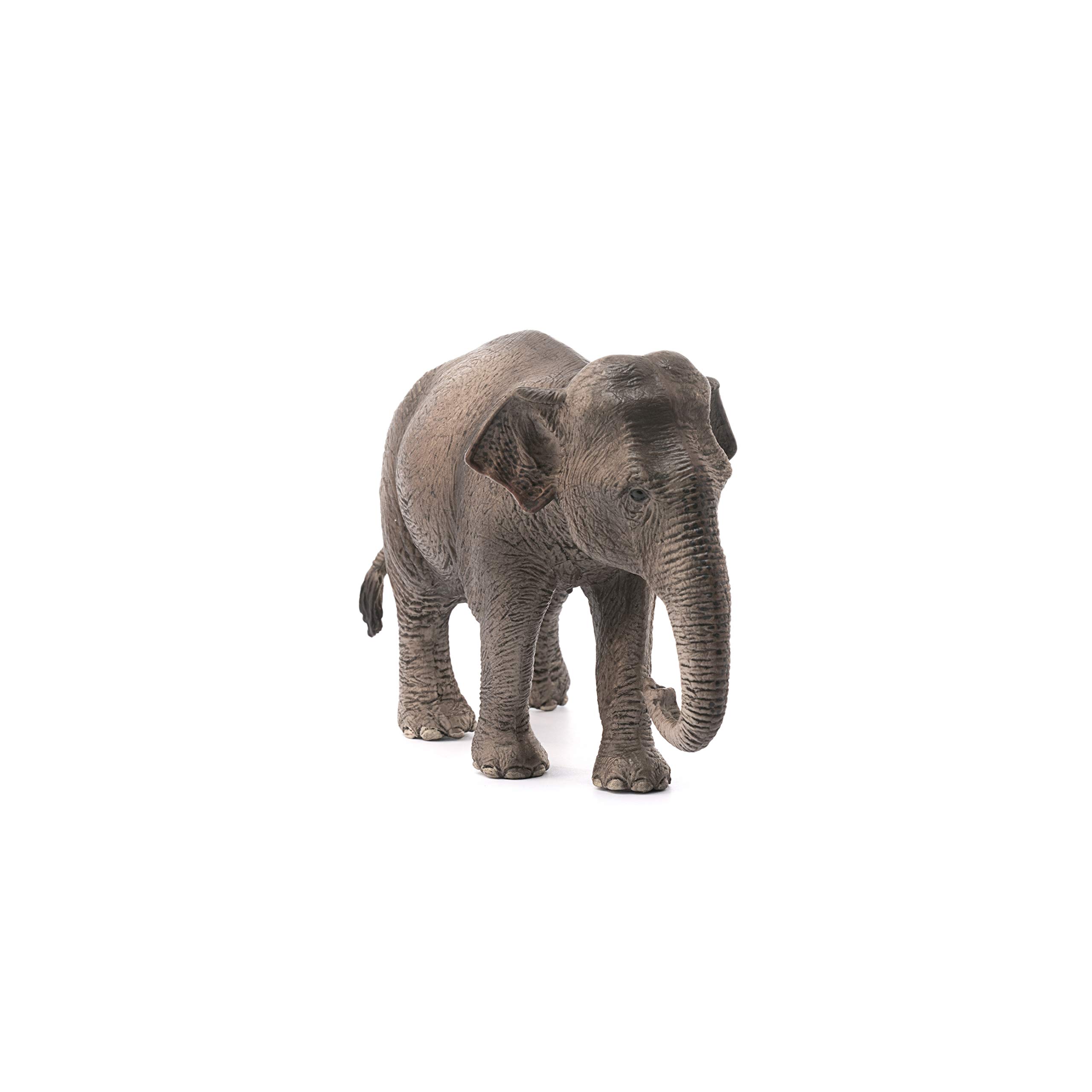 Foto 4 pulgar | Figura De Juguete Schleich Wild Life Con Forma De Elefante Asiático Hembra De Más De 3 Años - Venta Internacional.