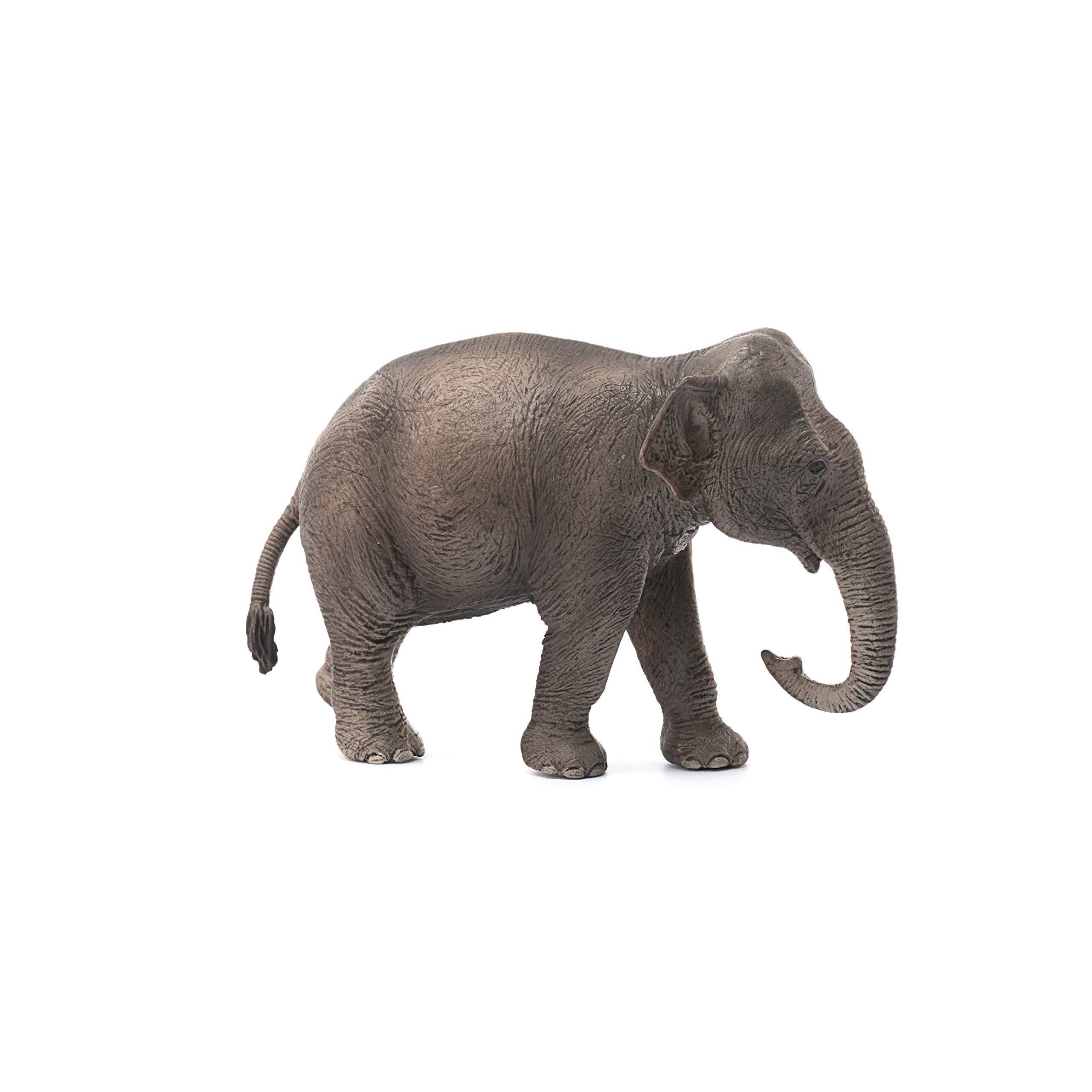 Foto 5 pulgar | Figura De Juguete Schleich Wild Life Con Forma De Elefante Asiático Hembra De Más De 3 Años - Venta Internacional.