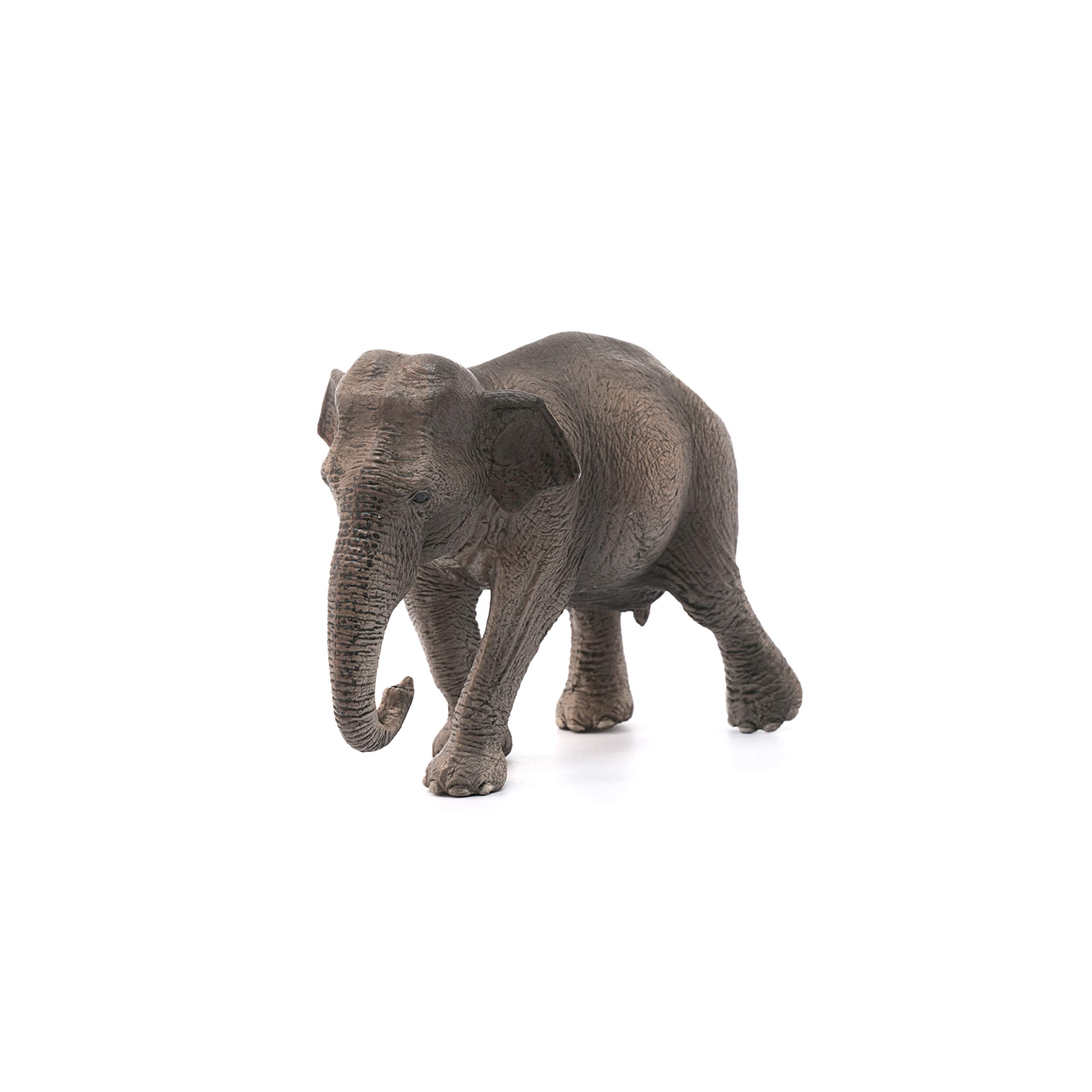 Foto 6 pulgar | Figura De Juguete Schleich Wild Life Con Forma De Elefante Asiático Hembra De Más De 3 Años - Venta Internacional.