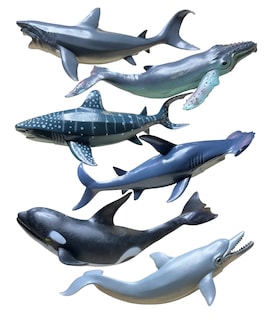 Foto 1 | Animales Marinos Tiburón Martillo Ballena Jorobada Orca 24 Cm Azul