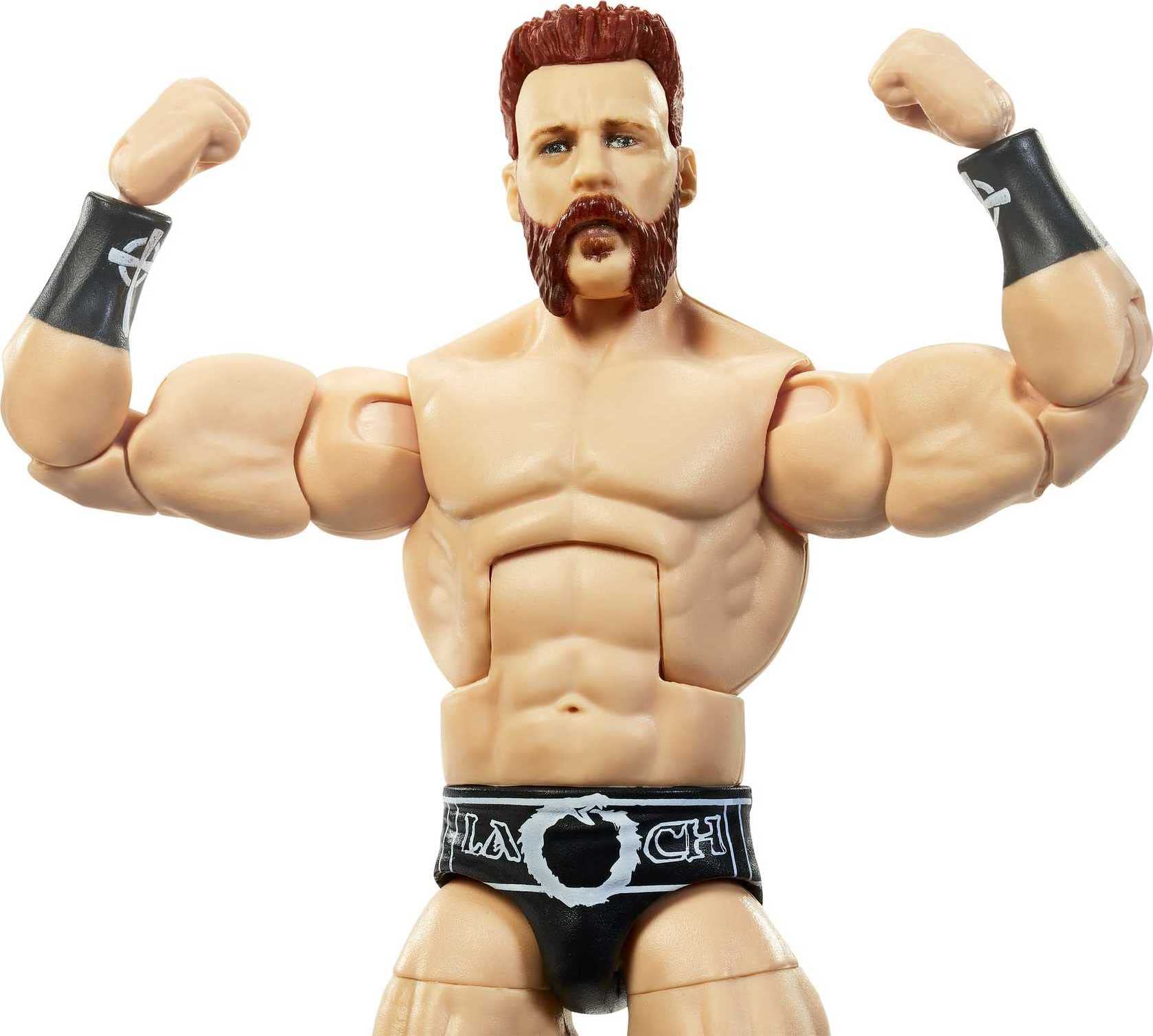 Foto 4 pulgar | Figura De Acción Mattel Wwe Sheamus Elite Collection 15 Cm - Venta Internacional.