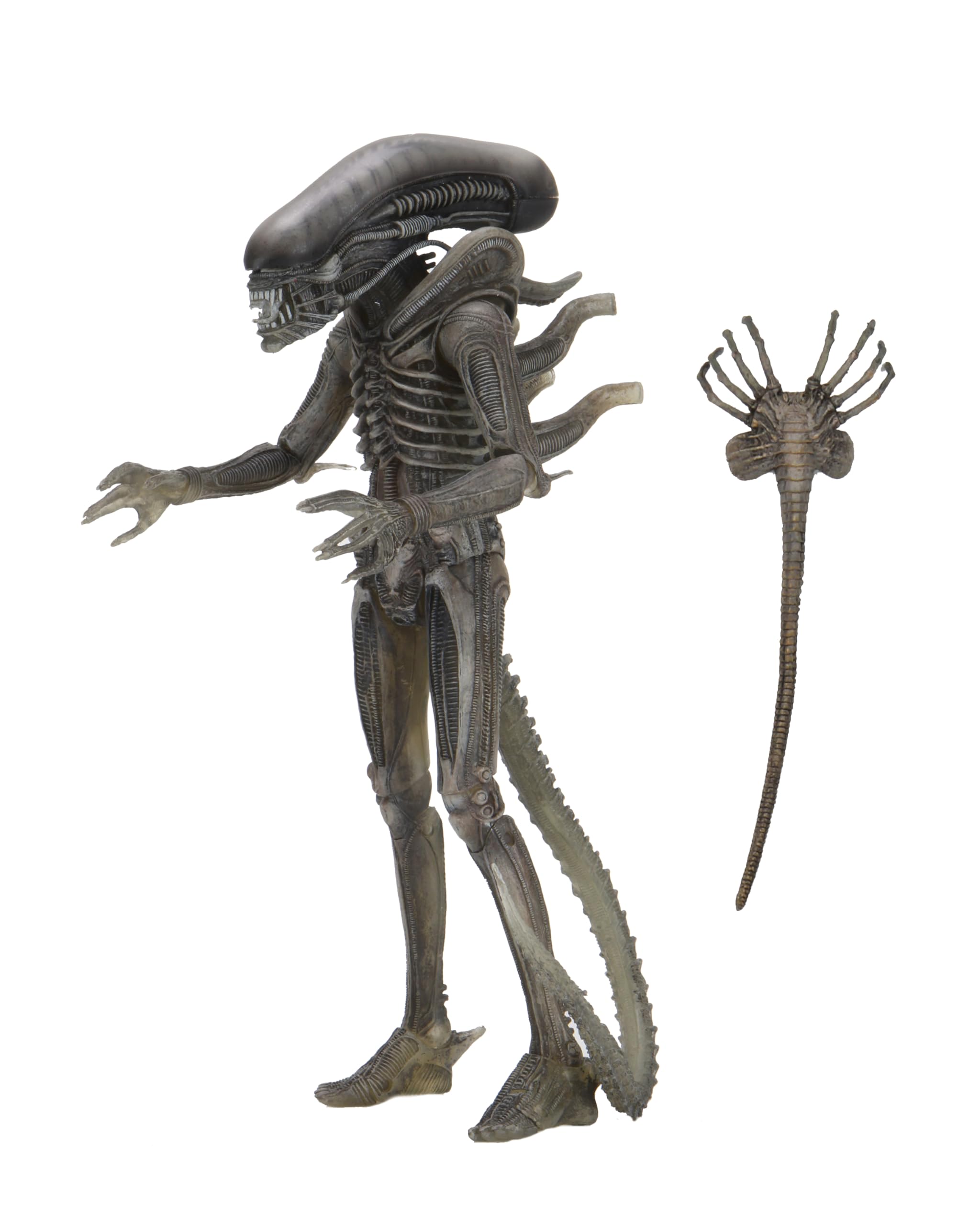 Foto 2 pulgar | Figura De Acción Neca Alien Giger 40º Aniversario 22cm - Venta Internacional.