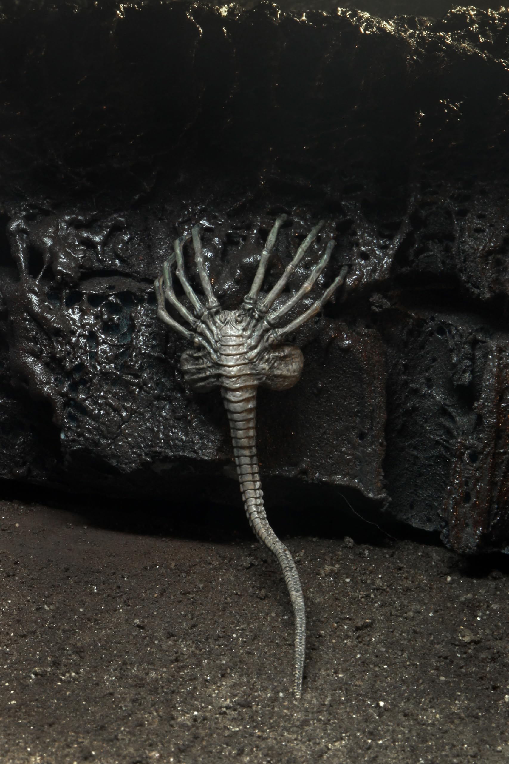 Foto 3 pulgar | Figura De Acción Neca Alien Giger 40º Aniversario 22cm - Venta Internacional.