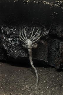 Foto 2 | Figura De Acción Neca Alien Giger 40º Aniversario 22cm - Venta Internacional.