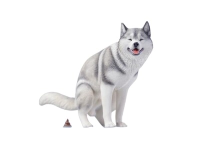 Foto 1 | Figura De Perro Coleccionable Hiplay Jxk Siberian Husky A Escala 1:6 - Venta Internacional.