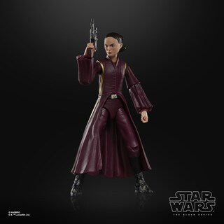 Foto 5 | Figura De Acción Star Wars The Black Series Padmé Amidala 15cm - Venta Internacional.