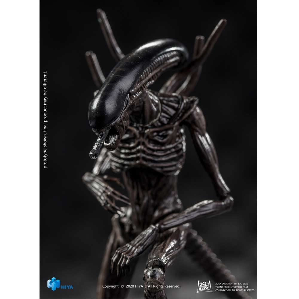 Foto 3 pulgar | Figura De Acción Hiya Toys Alien Covenant Xenomorph A Escala 1/18 - Venta Internacional.