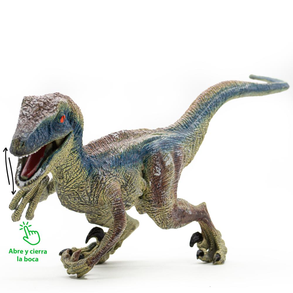 Foto 2 pulgar | Figura de Dinosaurio Velociraptor Jurassic Didacti Juegos 40 cm