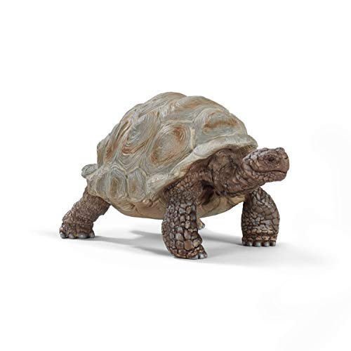 Foto 2 pulgar | Venta Internacional - Figura De Animal Schleich Wild Life Con Forma De Tortuga Gigante, Juguete