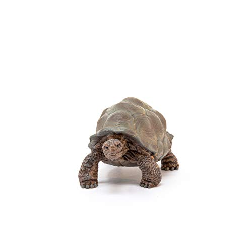 Foto 3 pulgar | Venta Internacional - Figura De Animal Schleich Wild Life Con Forma De Tortuga Gigante, Juguete