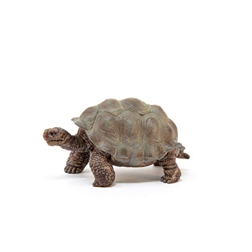 Foto 4 pulgar | Venta Internacional - Figura De Animal Schleich Wild Life Con Forma De Tortuga Gigante, Juguete