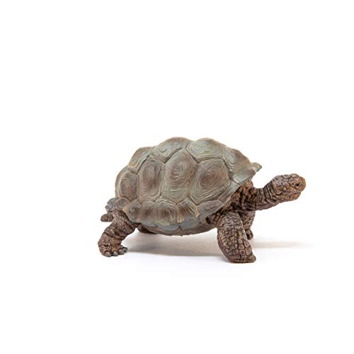 Foto 5 pulgar | Venta Internacional - Figura De Animal Schleich Wild Life Con Forma De Tortuga Gigante, Juguete