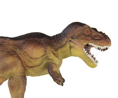 Foto 5 | Figura de Tiranosaurio Prehistórico Wild Safari Ltd- Venta Internacional