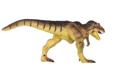 Foto 6 | Figura de Tiranosaurio Prehistórico Wild Safari Ltd- Venta Internacional