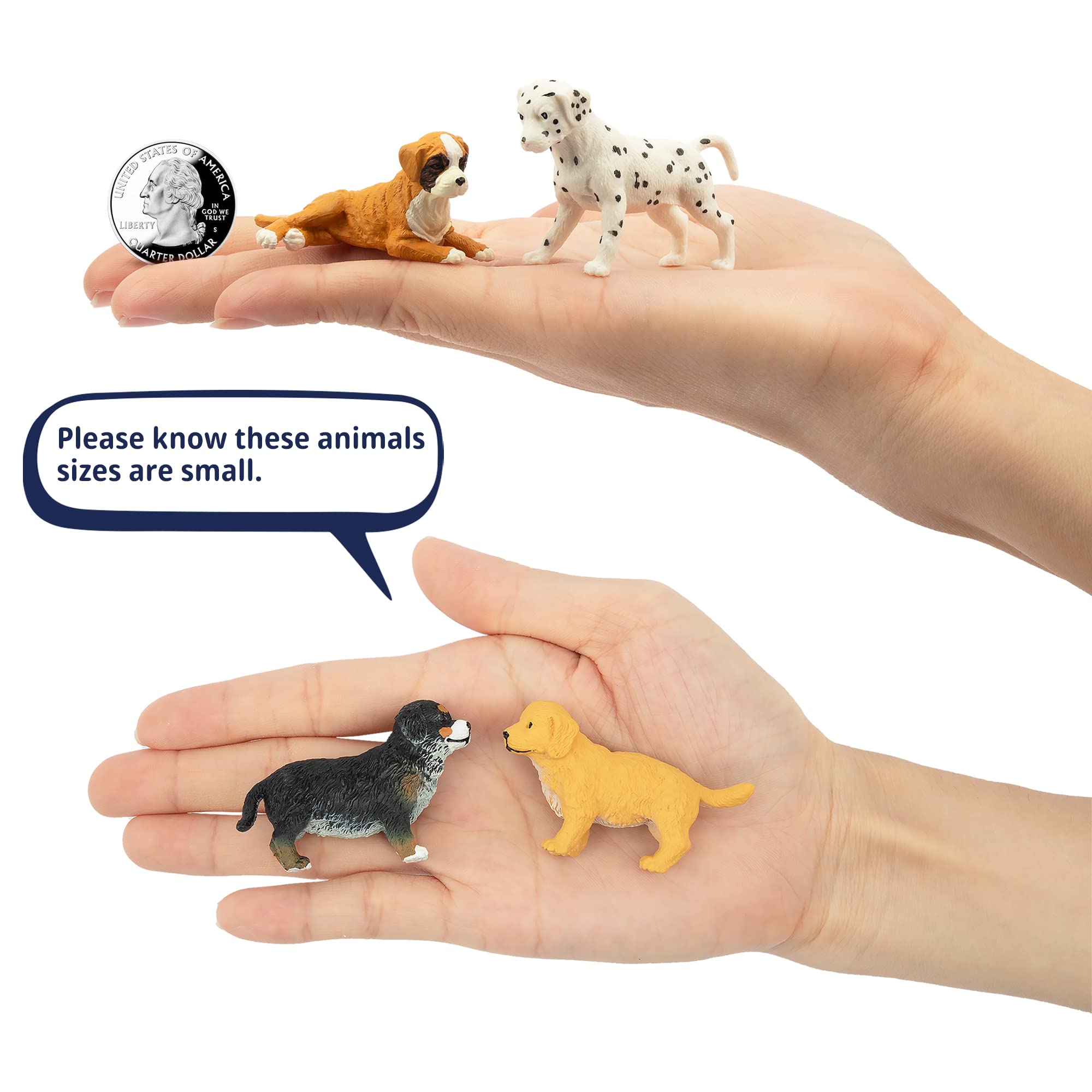 Foto 4 pulgar | Venta Internacional - Set De Muñecos Toymany Mini Dog, 12 Unidades, Para Niños Mayores De 3 Años