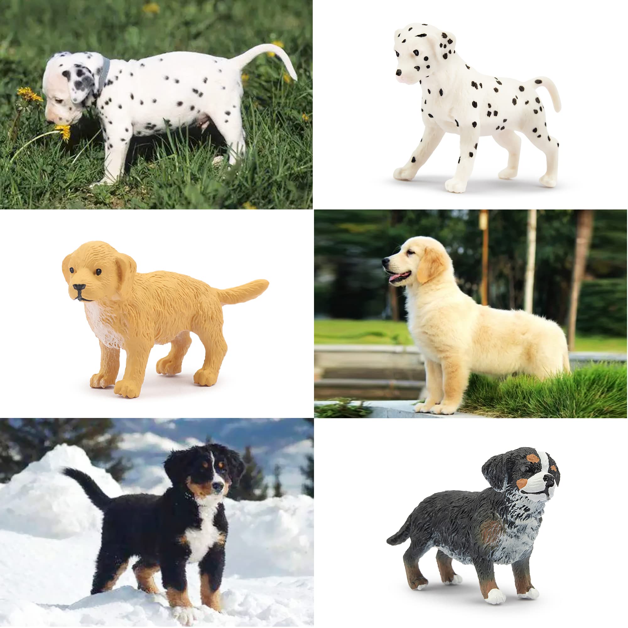 Foto 9 pulgar | Venta Internacional - Set De Muñecos Toymany Mini Dog, 12 Unidades, Para Niños Mayores De 3 Años