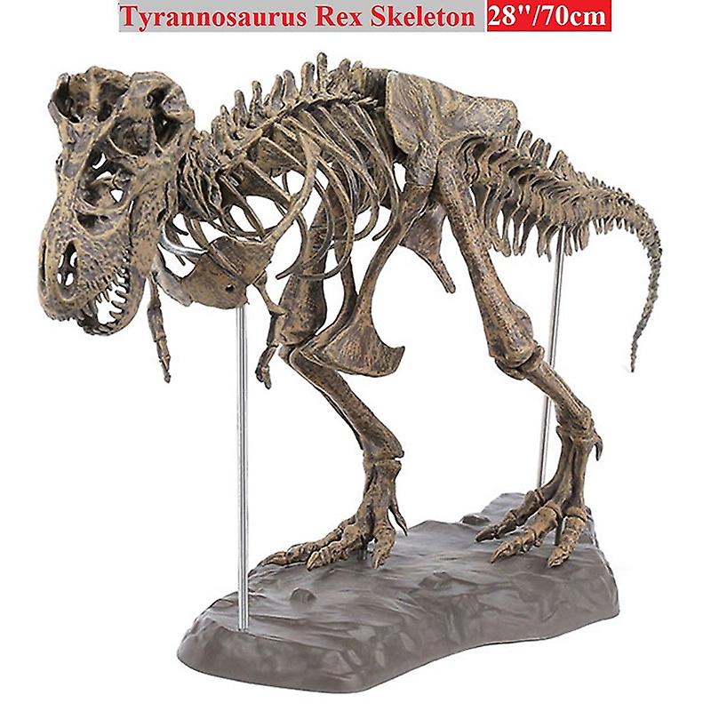 Venta Internacional - Esqueleto De Dinosaurio Modelo Tyrannosaurus Rex, 70 Cm, Pvc