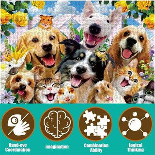 Foto 2 | Juego De Juguetes Educativos Con Reproducción De Conejos Y Gatos Art P, 1000 Unidades - Venta Internacional.