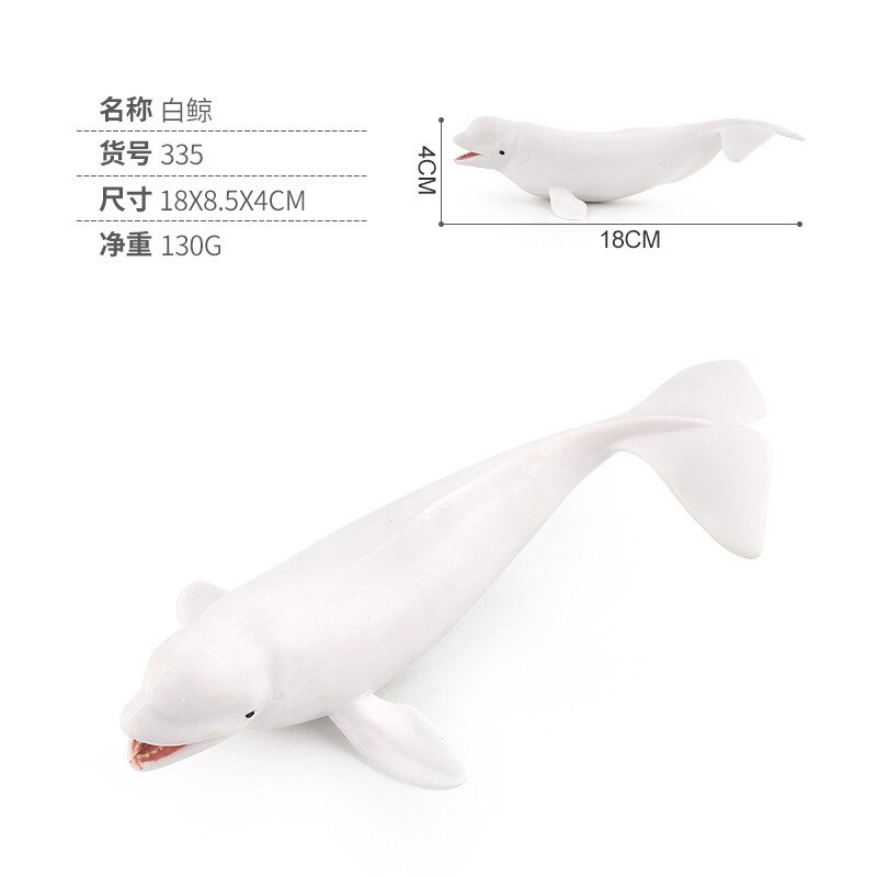 Foto 2 pulgar | Modelo Biológico De La Ballena Blanca, Ballena Azul, Ballena Marina - Venta Internacional.