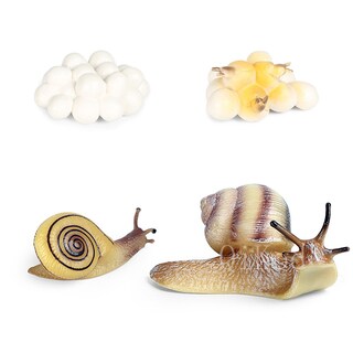 Foto 3 | Simulación De Figuras De Acción Modelo Del Ciclo De Crecimiento Animal - Venta Internacional.