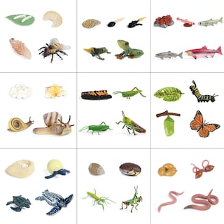 Foto 2 | Simulación De Figuras De Acción Modelo Del Ciclo De Crecimiento Animal - Venta Internacional.