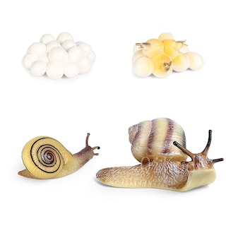 Foto 3 | Simulación De Figuras De Acción Modelo Del Ciclo De Crecimiento Animal - Venta Internacional.