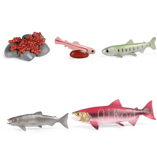 Foto 4 | Simulación De Figuras De Acción Modelo Del Ciclo De Crecimiento Animal - Venta Internacional.