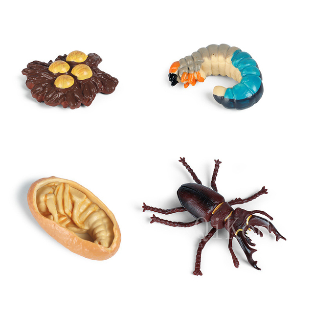 Foto 2 pulgar | Figuras De Acción Del Modelo Del Ciclo De Crecimiento Animal De Simulación - Venta Internacional.