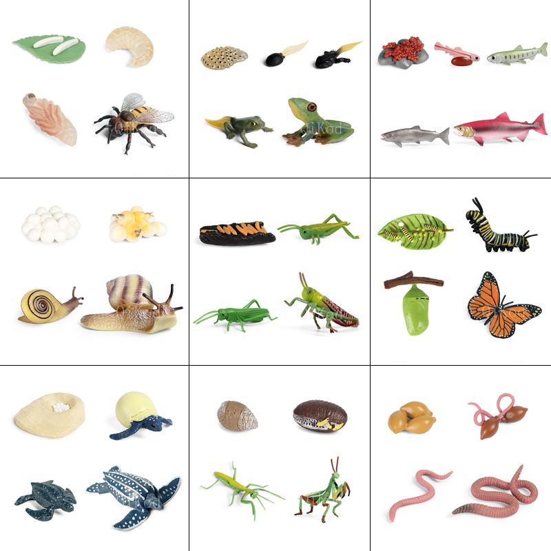 Foto 3 pulgar | Figuras De Acción Del Modelo Del Ciclo De Crecimiento Animal De Simulación - Venta Internacional.