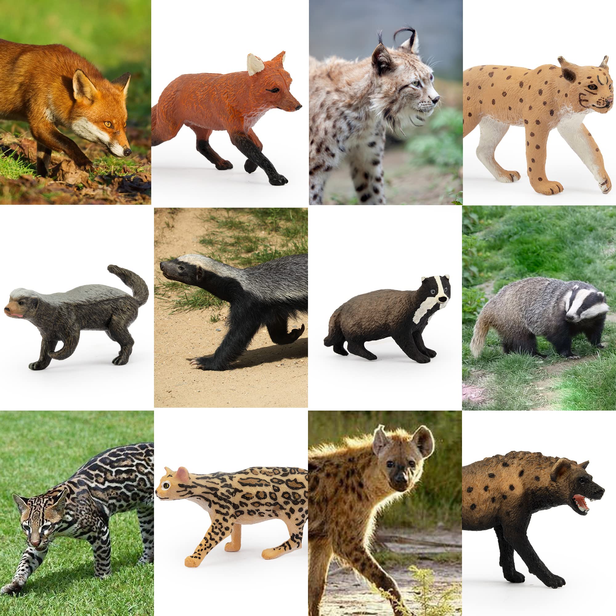 Foto 7 | Juego De Figuras De Animales Toymany Forest Animal, 10 Piezas Para Niños - Venta Internacional.