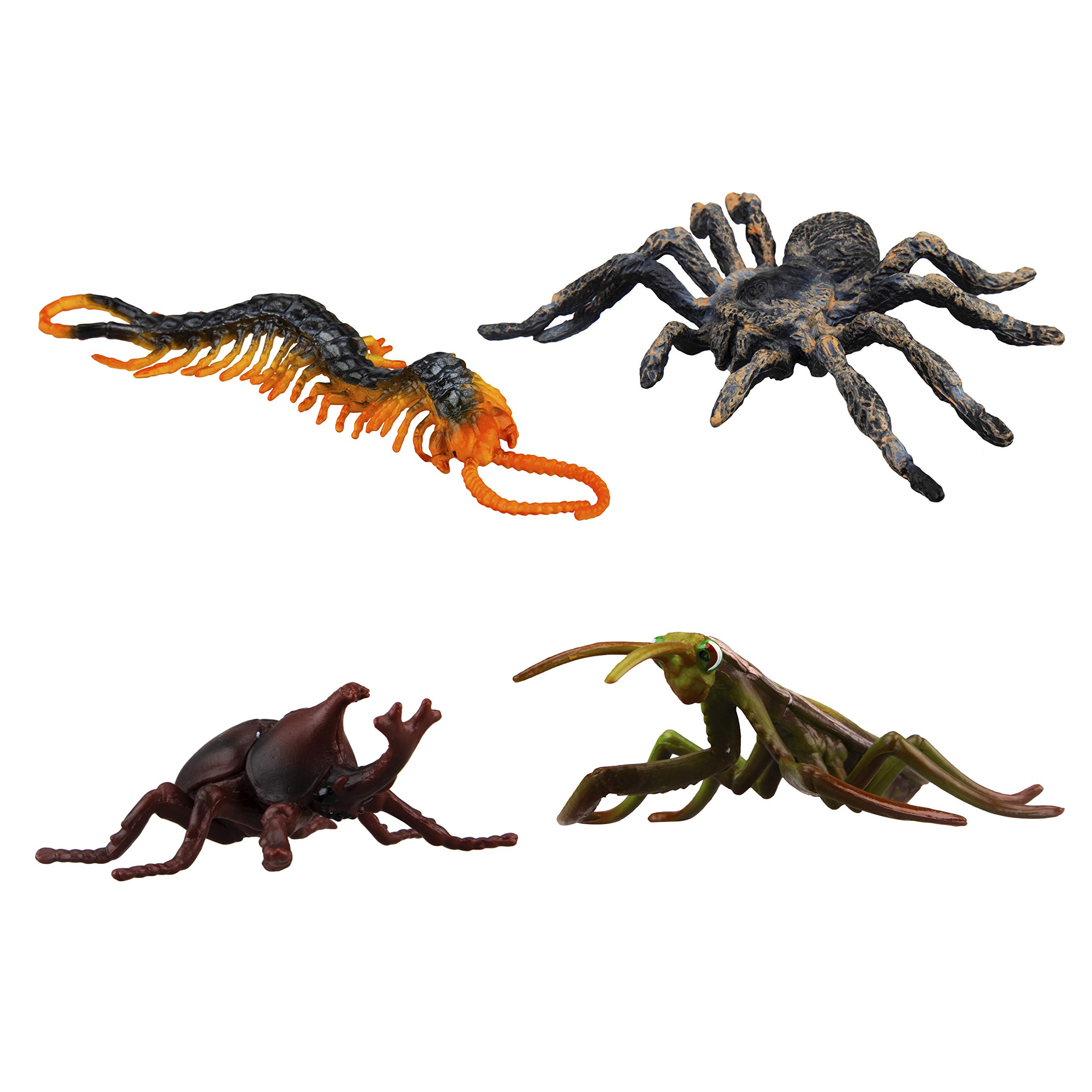 Foto 4 pulgar | Figura De Juguete Toymany Realistic Bugs, 12 Unidades, Para Niños Mayores De 3 Años - Venta Internacional.
