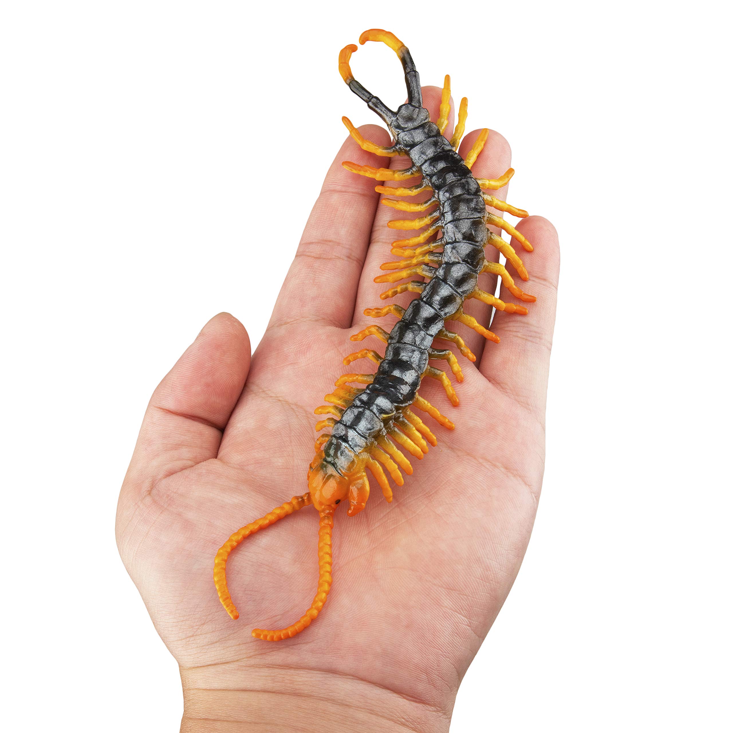 Foto 7 | Figura De Juguete Toymany Realistic Bugs, 12 Unidades, Para Niños Mayores De 3 Años - Venta Internacional.