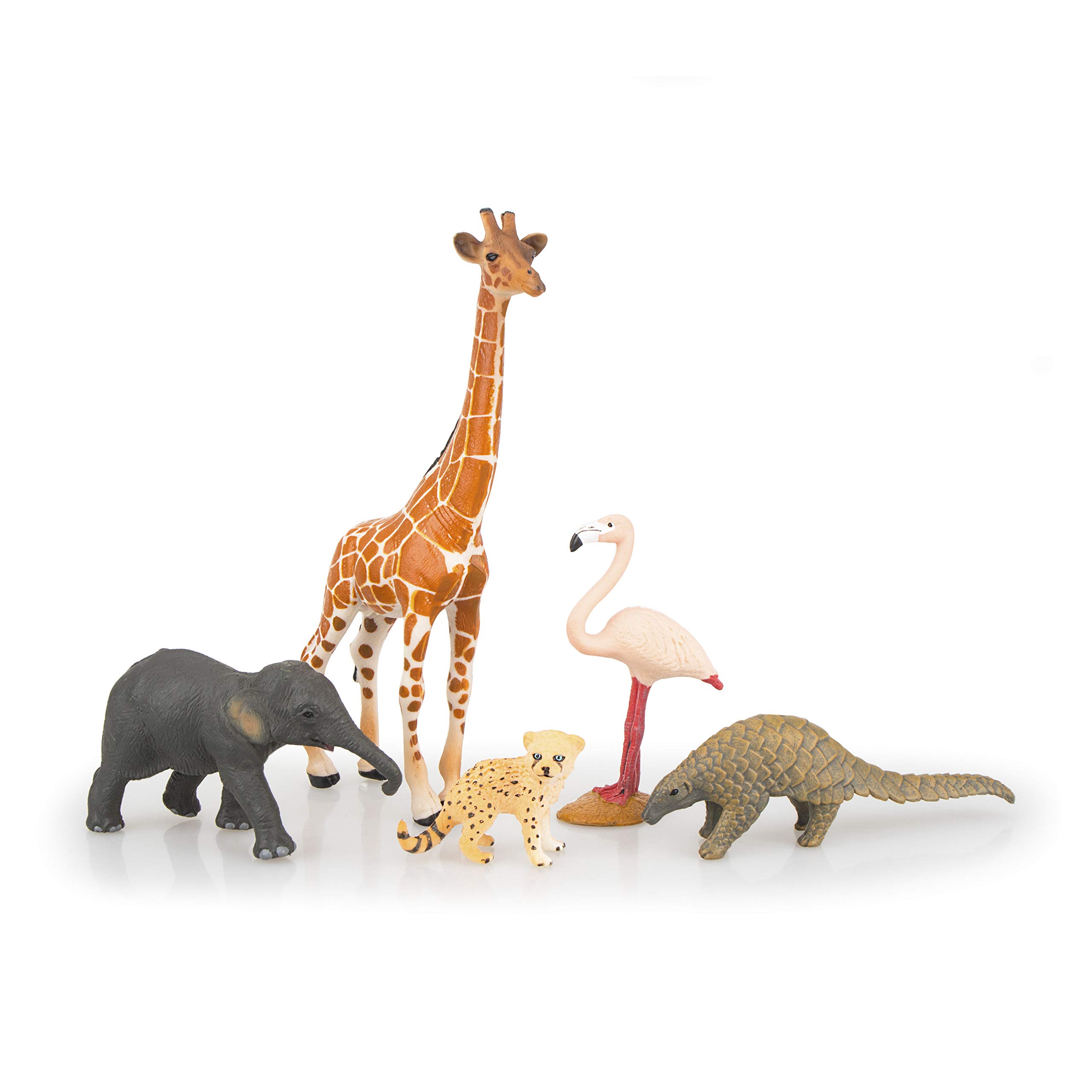 Foto 7 | Figuras De Animales Toymany Realistic Jungle & Zoo Animals X12 - Venta Internacional.