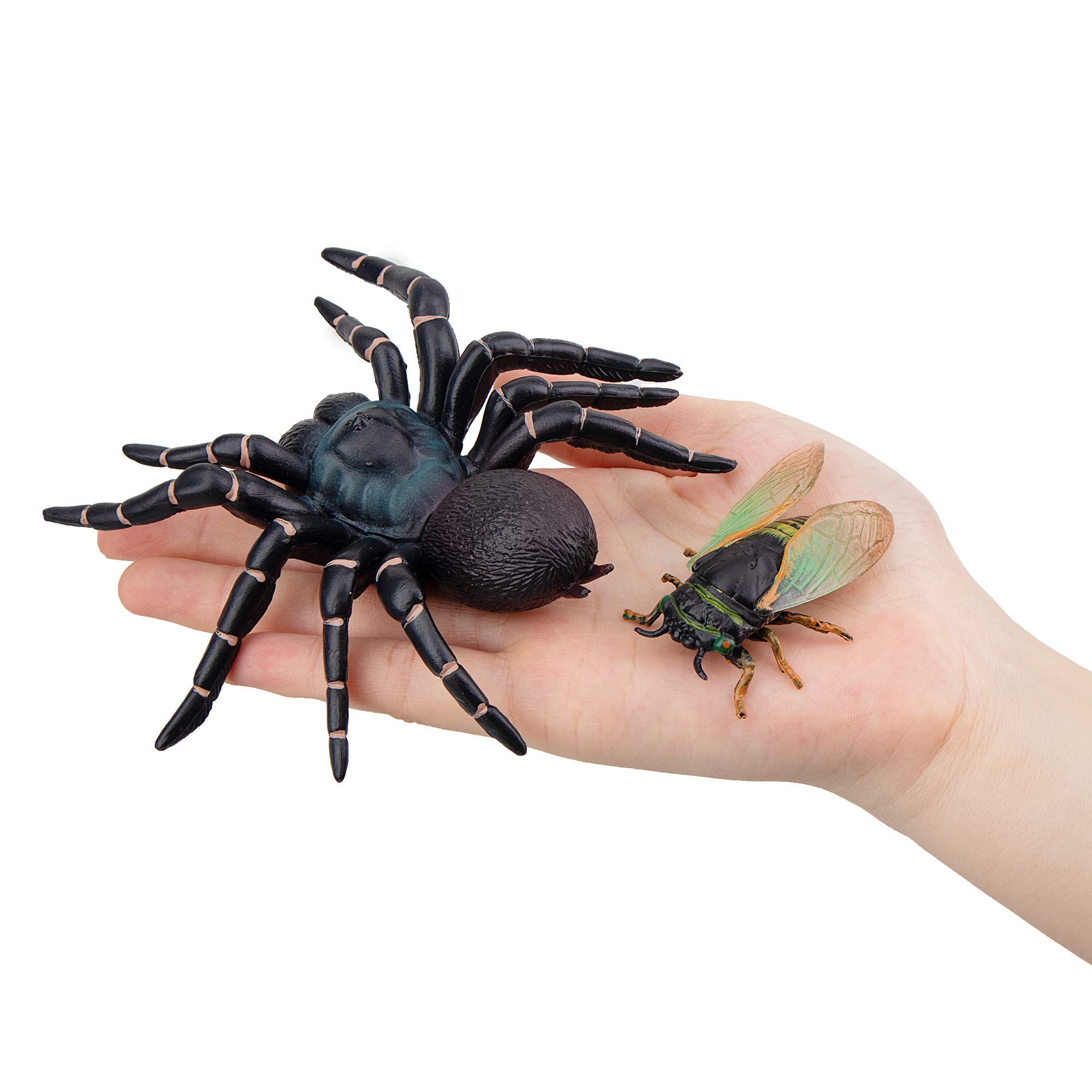 Foto 7 pulgar | Figura De Juguete Toymany Insects, 12 Unidades, Realistas, Para Niños De Más De 3 Años - Venta Internacional.