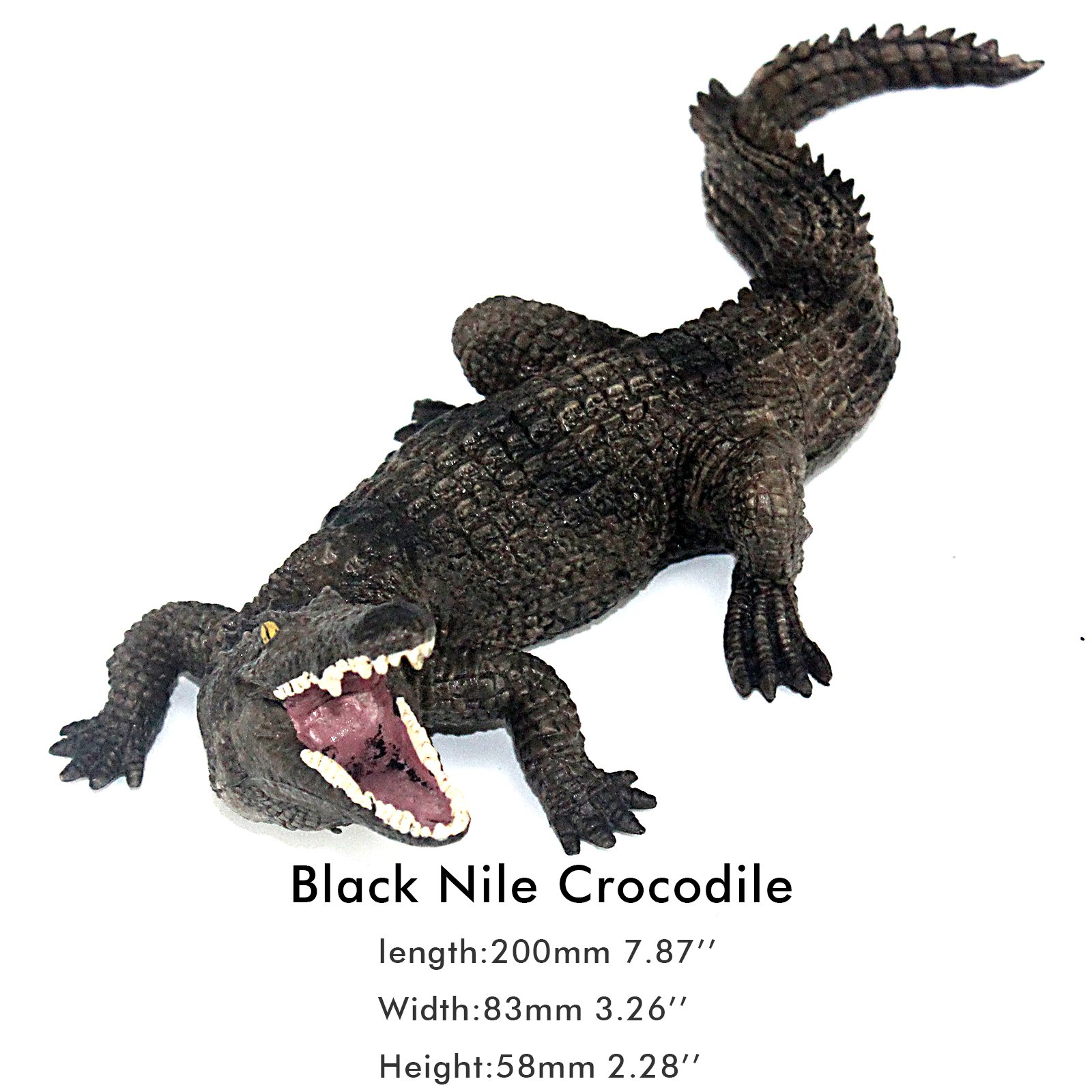 Foto 2 | Juego de 2 Piezas Cocodrilos Del Nilo Funshowcase - Venta Internacional