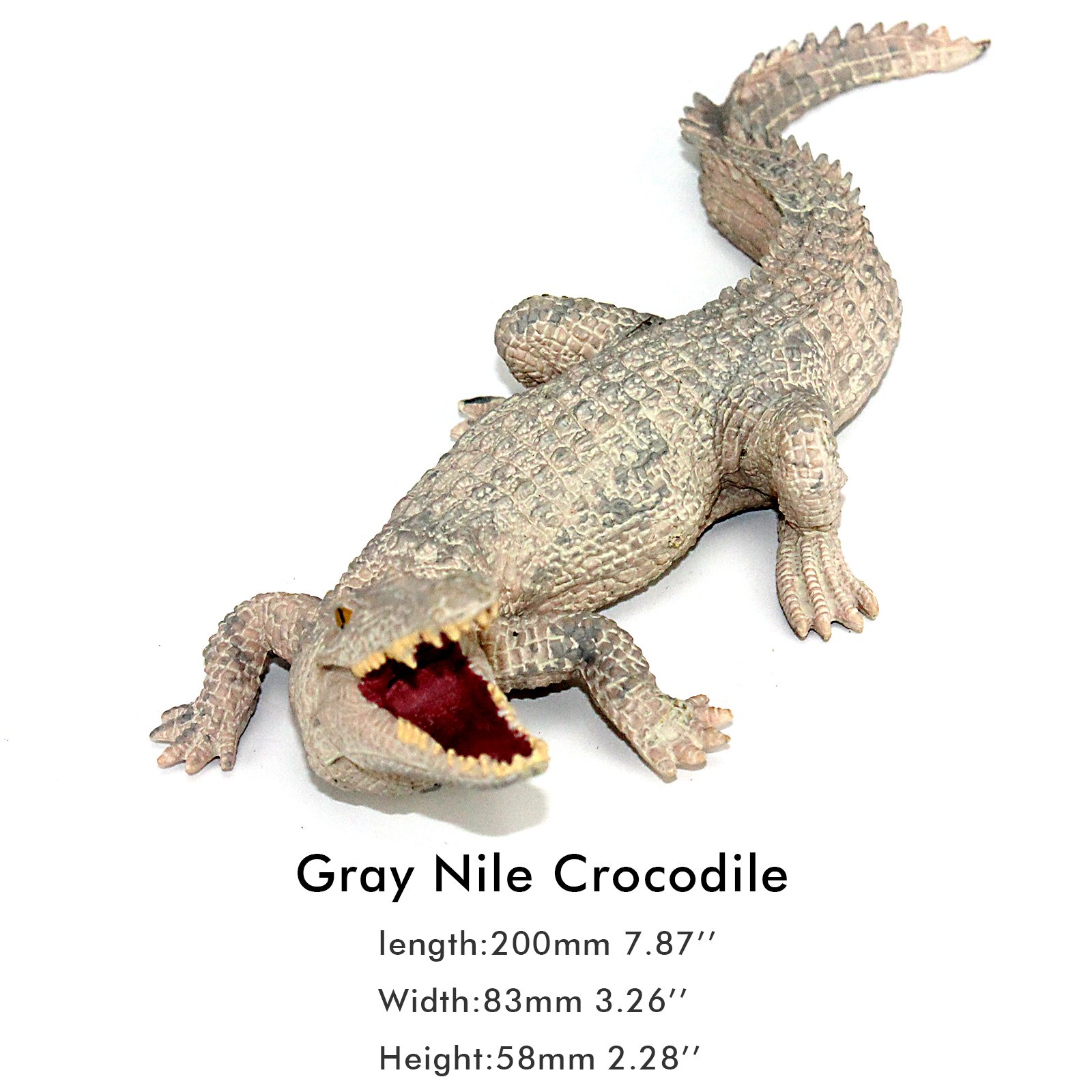 Foto 3 | Juego de 2 Piezas Cocodrilos Del Nilo Funshowcase - Venta Internacional