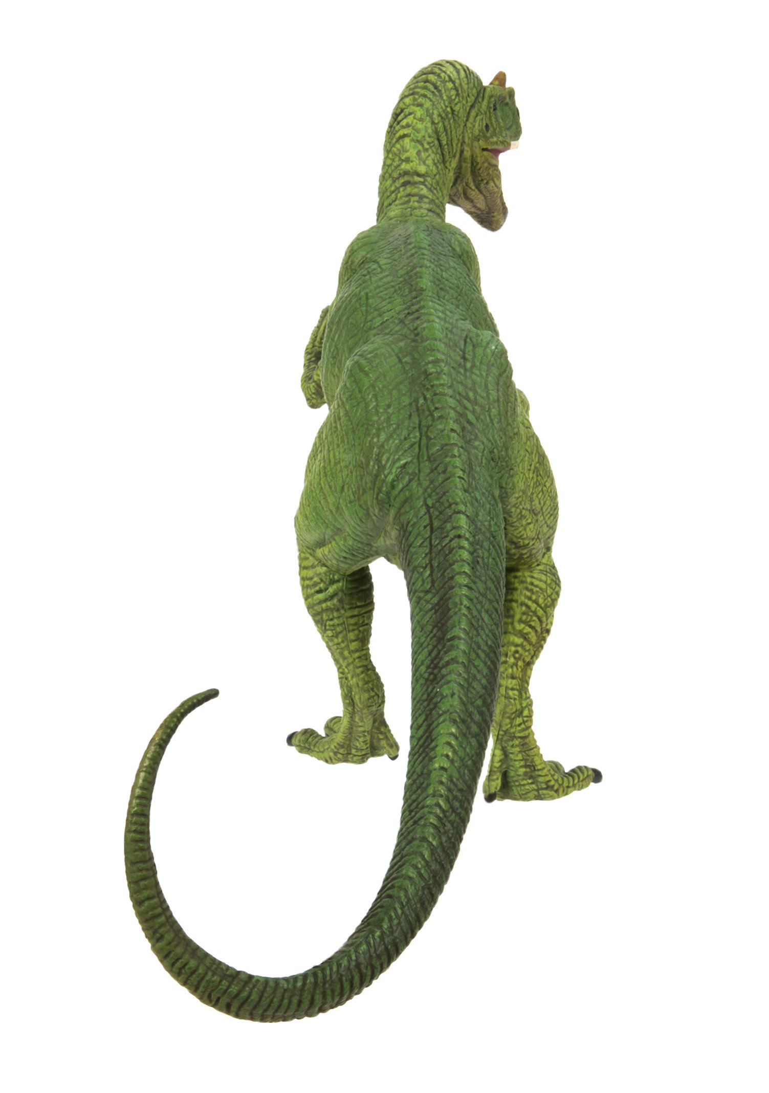 Foto 6 pulgar | Colección De Dinosaurios Y Alosaurios De Figurine Safari Ltd. - Venta Internacional.