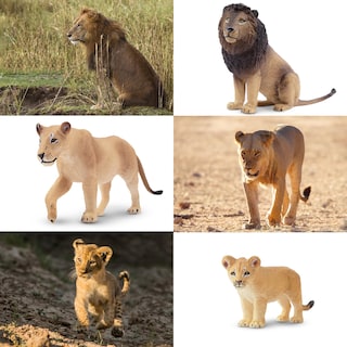 Foto 6 | Figuras de Animales Toymany 6 Piezas-Venta Internacional