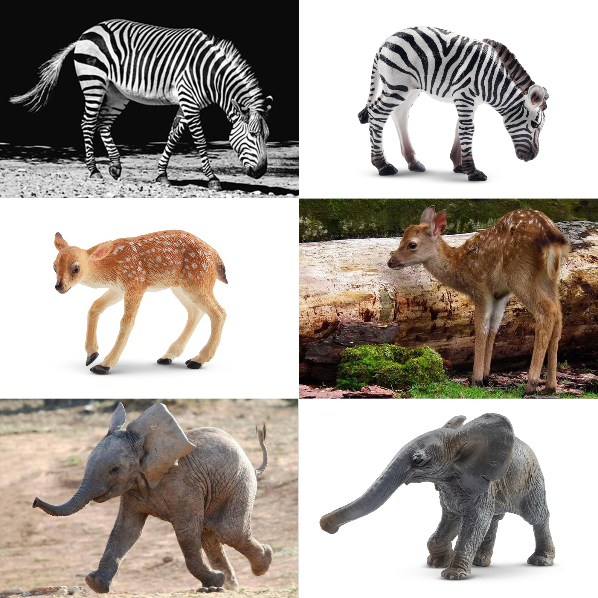 Foto 6 | Figuras de Juguete Toymany Animales 12 Piezas - Venta Internacional