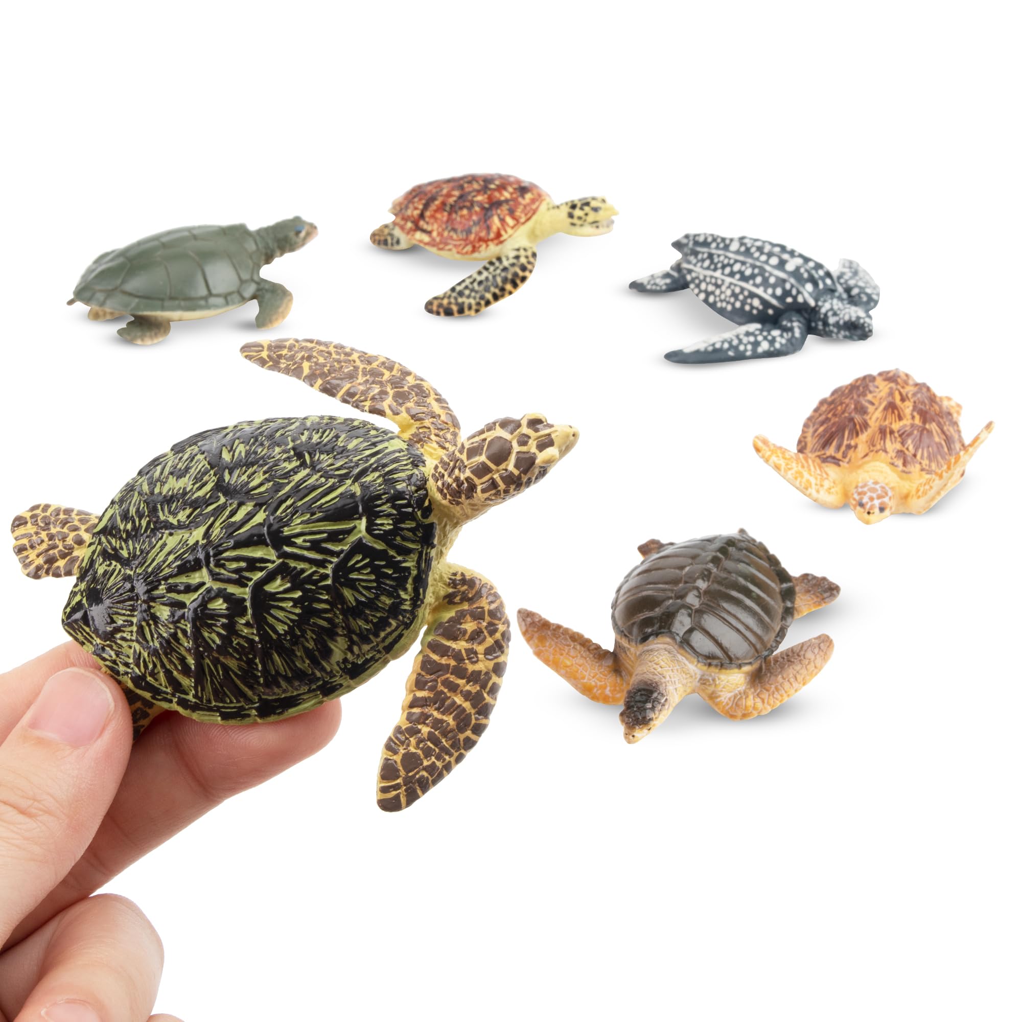 Foto 3 pulgar | Figuras De Animales Toymany Sea Turtle, 6 Unidades, Para Niños Mayores De 3 Años - Venta Internacional.