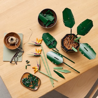 Foto 3 | Kit De Construcción Lego Botanical Collection Bird Of Paradise 10289 - Venta Internacional.