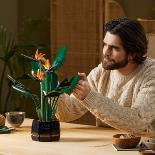 Foto 5 | Kit De Construcción Lego Botanical Collection Bird Of Paradise 10289 - Venta Internacional.