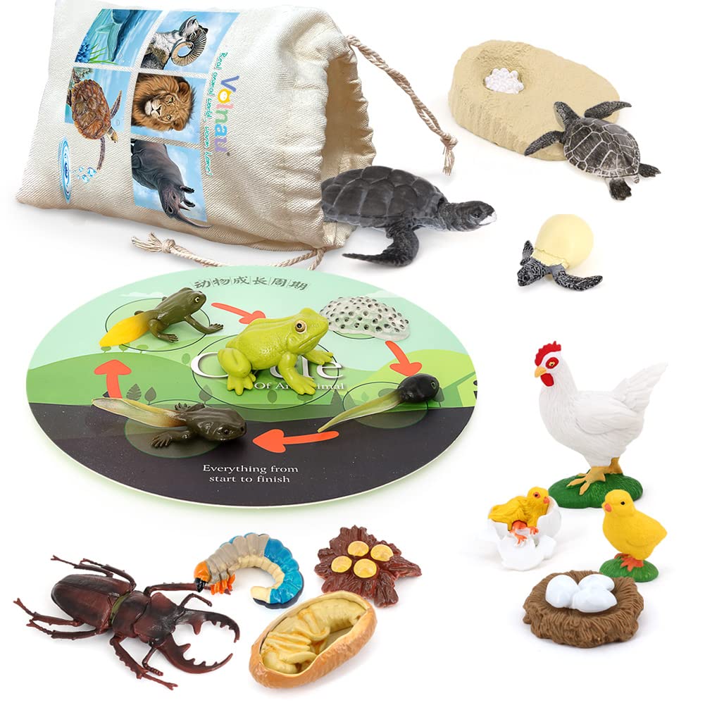 Foto 2 pulgar | Juego De Figuras De Animales Volnau Life Cycle, 17 Piezas, Para Niños Mayores De 3 Años - Venta Internacional.