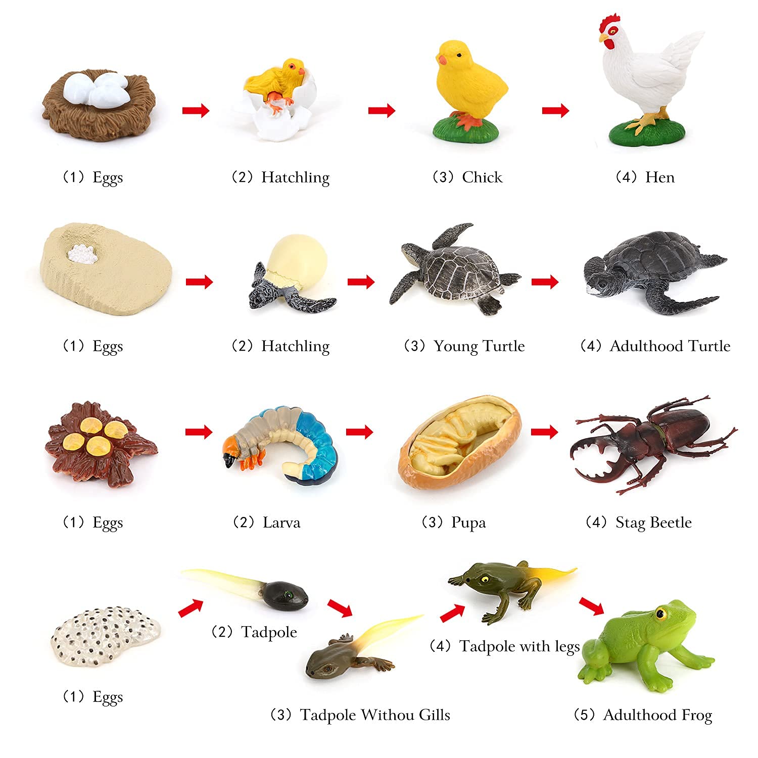 Foto 4 | Juego De Figuras De Animales Volnau Life Cycle, 17 Piezas, Para Niños Mayores De 3 Años - Venta Internacional.