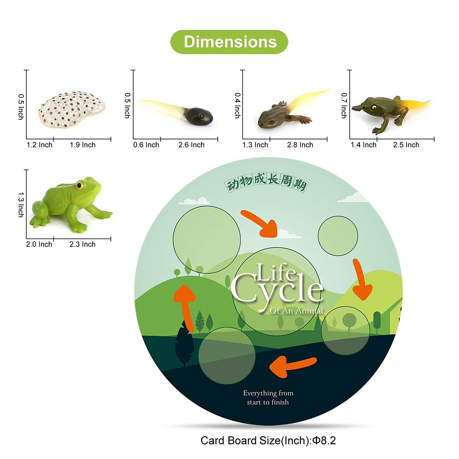 Foto 7 pulgar | Juego De Figuras De Animales Volnau Life Cycle, 17 Piezas, Para Niños Mayores De 3 Años - Venta Internacional.