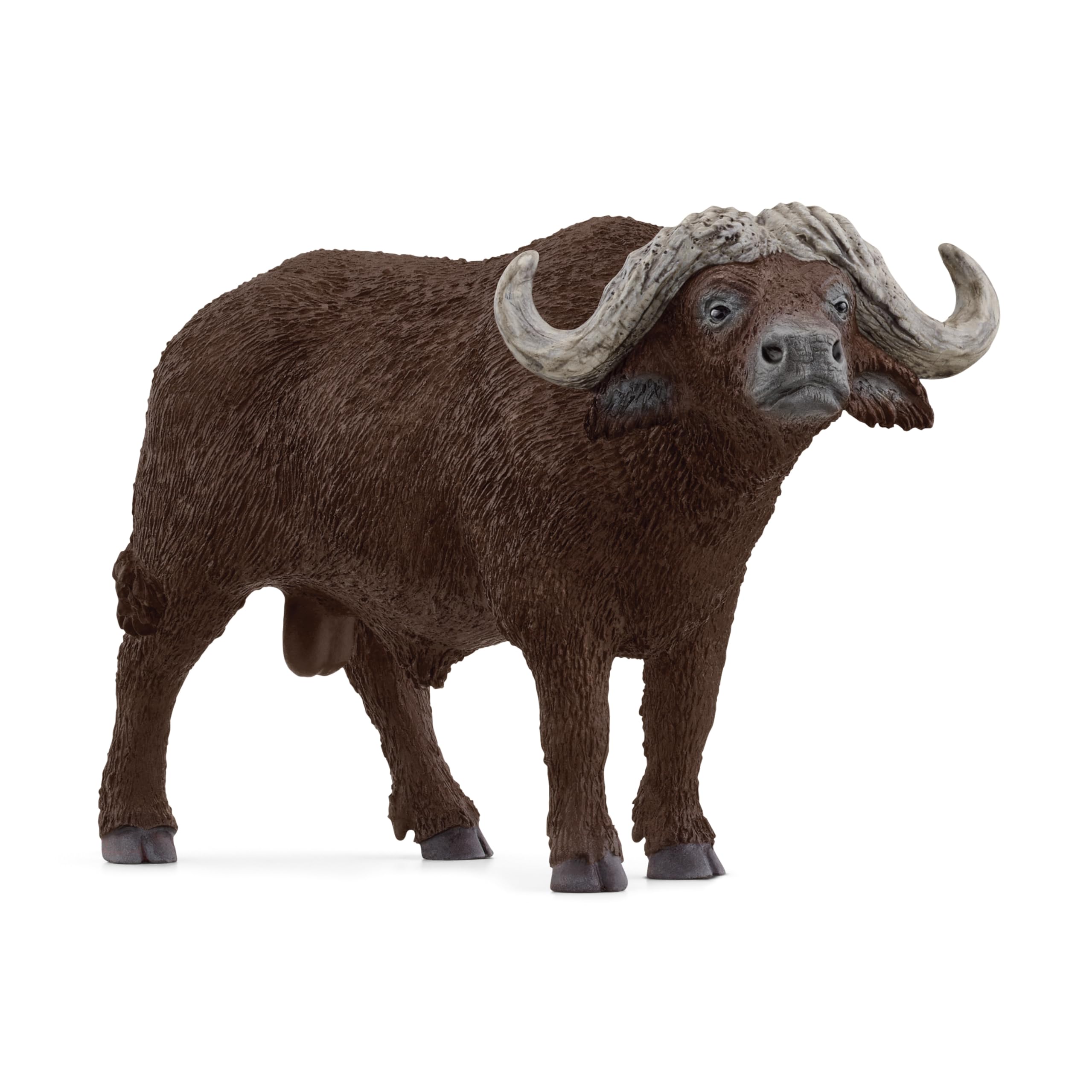 Foto 2 pulgar | Figura De Juguete Schleich Wild Life African Buffalo 2024 Kids 3+ - Venta Internacional.