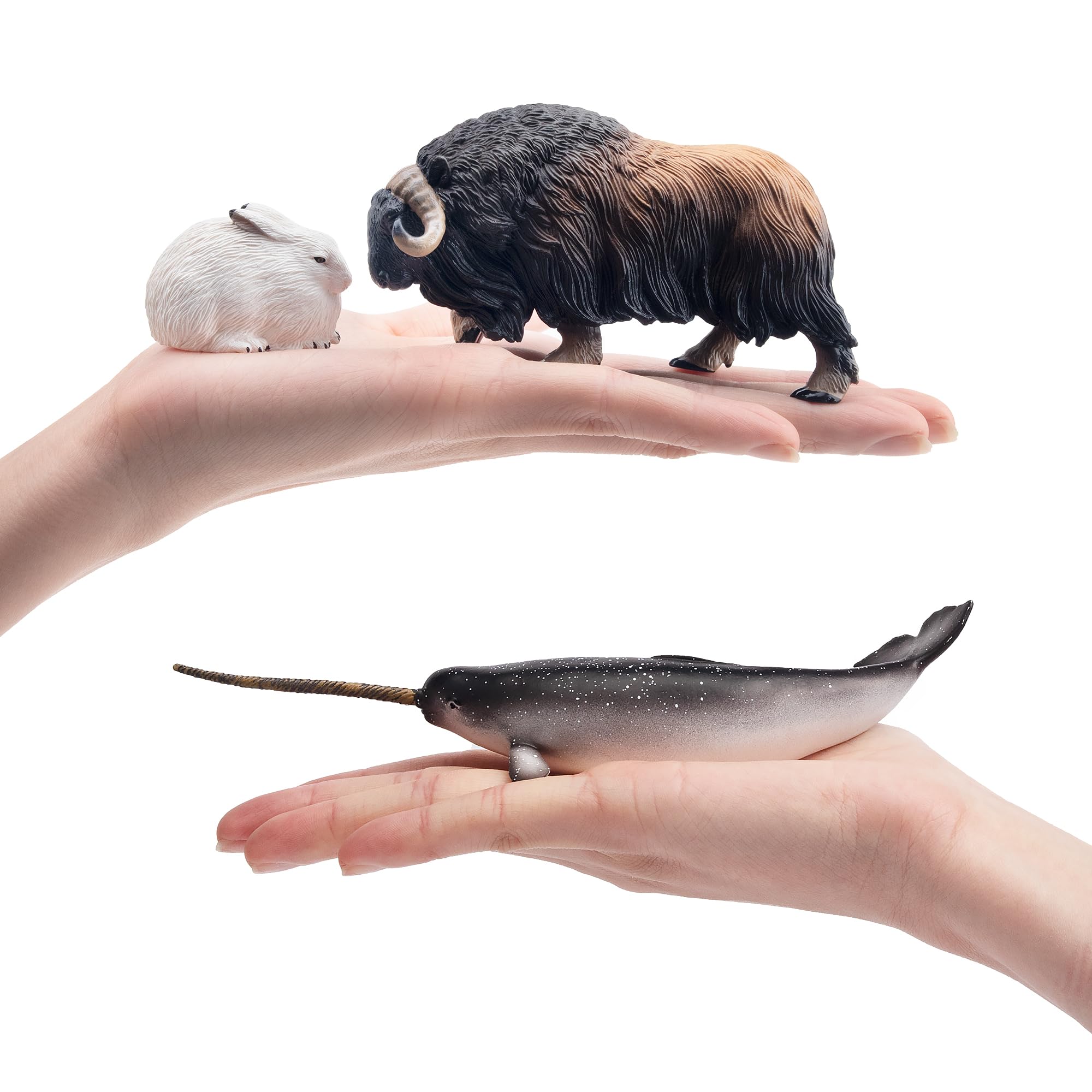 Foto 8 pulgar | Figuras De Animales Toymany Polar Animals  12 Unidades  Para Niños Mayores De 3 Años - Venta Internacional.