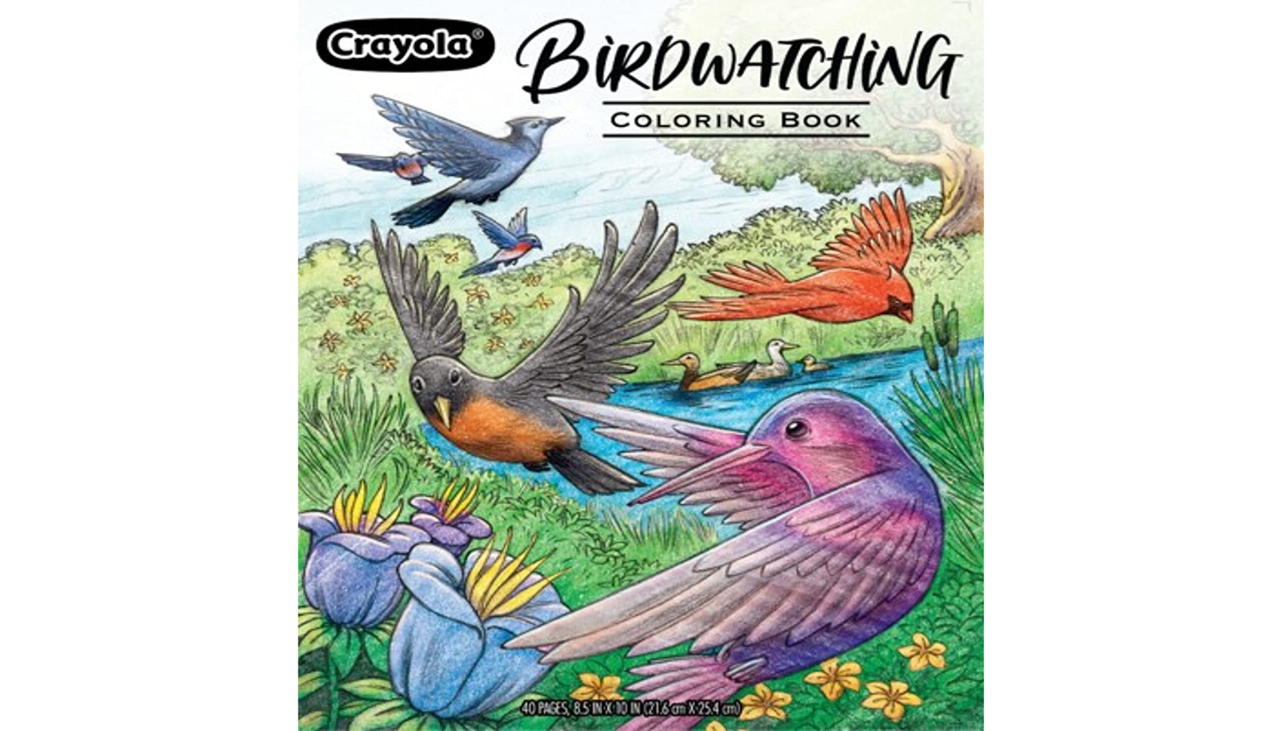 Libro Para Colorear Crayola Bird, 40 Págs. Para Adultos, 21,6 X 25,4 Cm, Perforado - Venta Internacional.